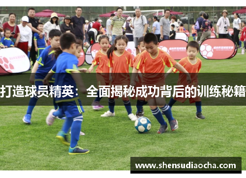 打造球员精英：全面揭秘成功背后的训练秘籍